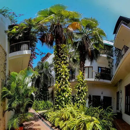 Apartment Luxury One Bedroom In The Old -casa Del Virrey Eslava *